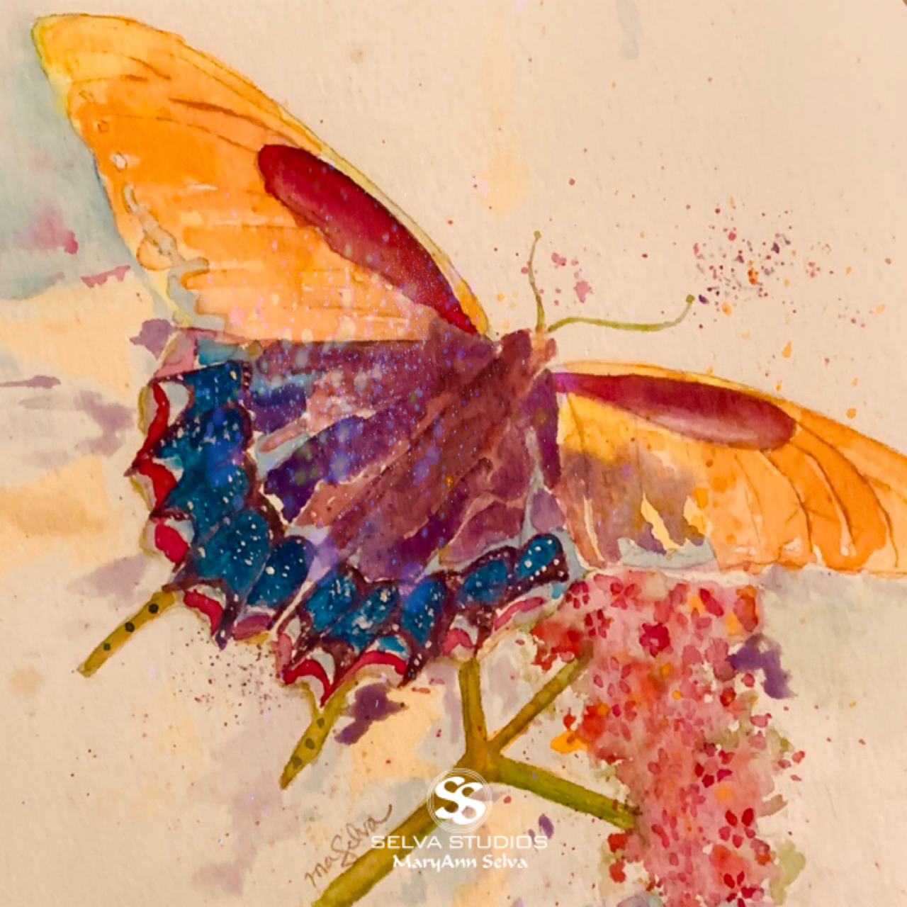 Say it With Butterflies